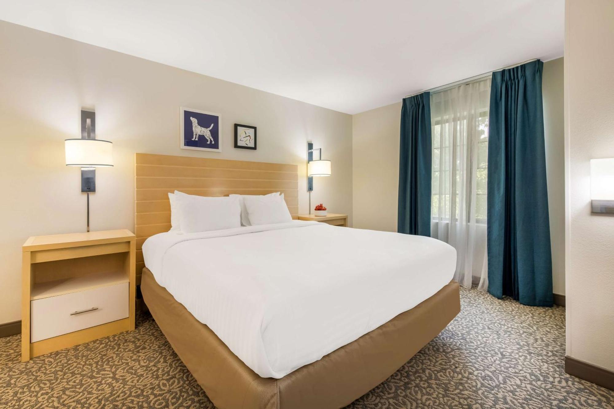 Sonesta Es Suites Charlotte Arrowood Zewnętrze zdjęcie